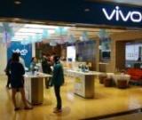 如何確定vivo手機的具體型號？